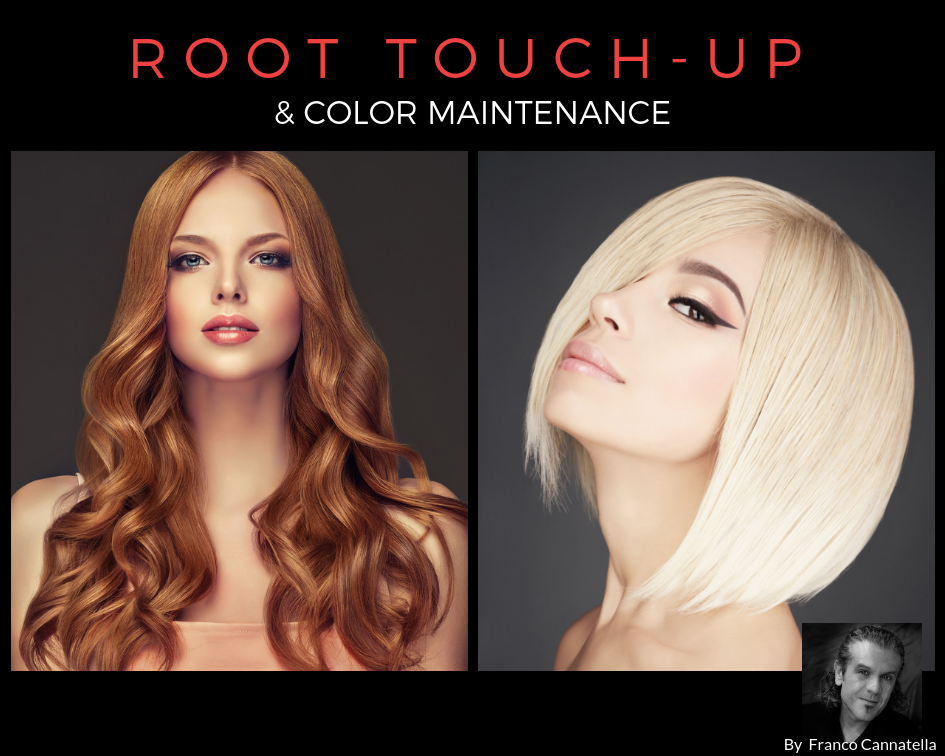Root Touch Up & Hair Color Maintenance ~ Dellaria Salons